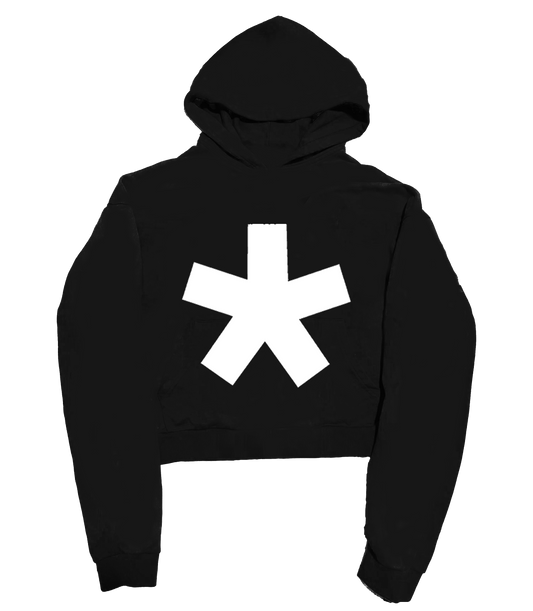 'ASTERIX' 500G HEAVYWEIGHT HOODIE